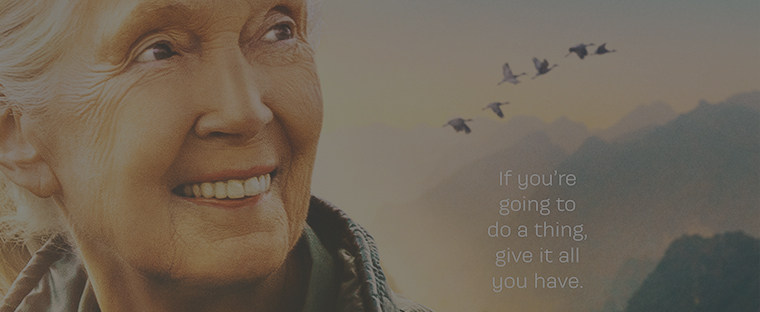 Jane Goodall Reasons for Hope (2023)